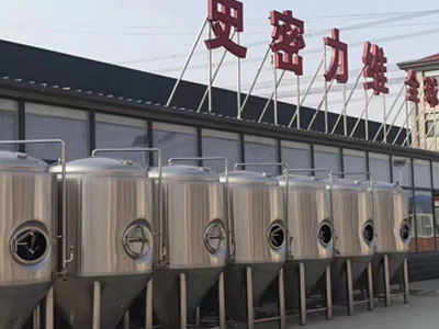 芷江精酿啤酒设备厂—市场规模与跨界新需求